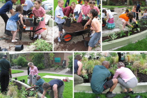 community planting copy.jpg - Kingston's Memorial Gardens